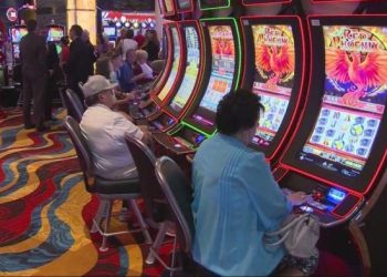 Panduan Langkah Awal Bermain Lottery untuk Pemula