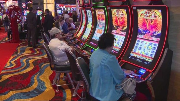 Panduan Langkah Awal Bermain Lottery untuk Pemula